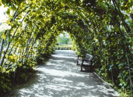 Photographer in Queens Park London