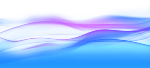 photographer nearme wave